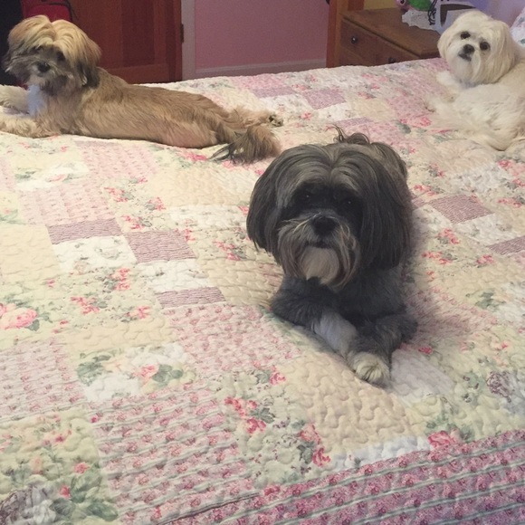 Meet your Posher, Nichole - Picture 4 of 4